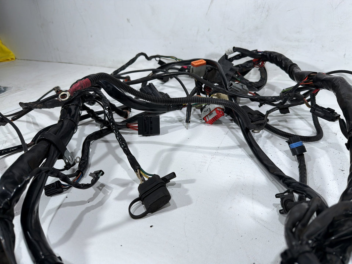 2004 Harley Electra Glide Touring Ultra OEM Main Wire Wiring Harness Loom