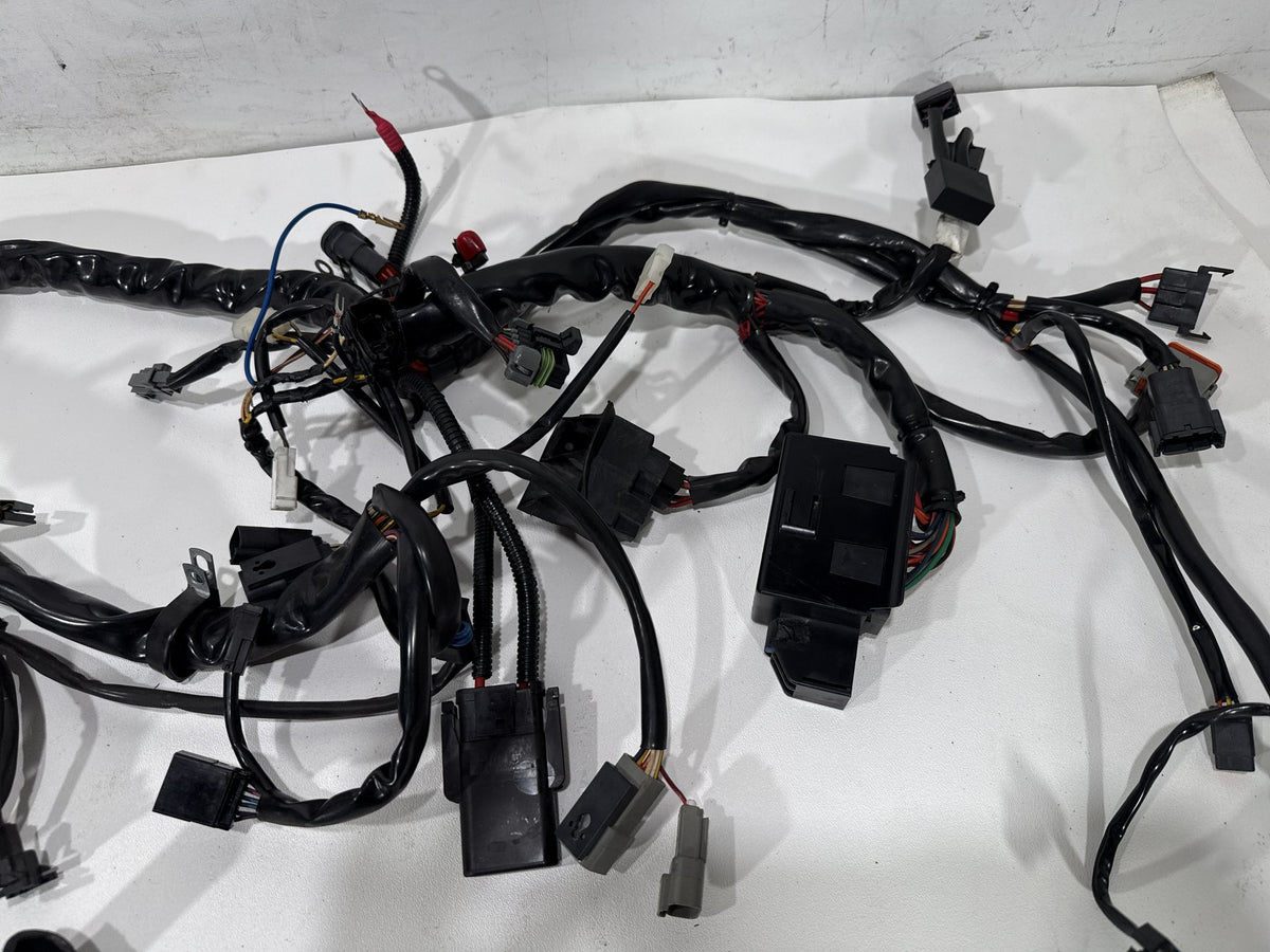 2004 Harley Road King Touring Classic OEM Main Wire Wiring Harness Loom