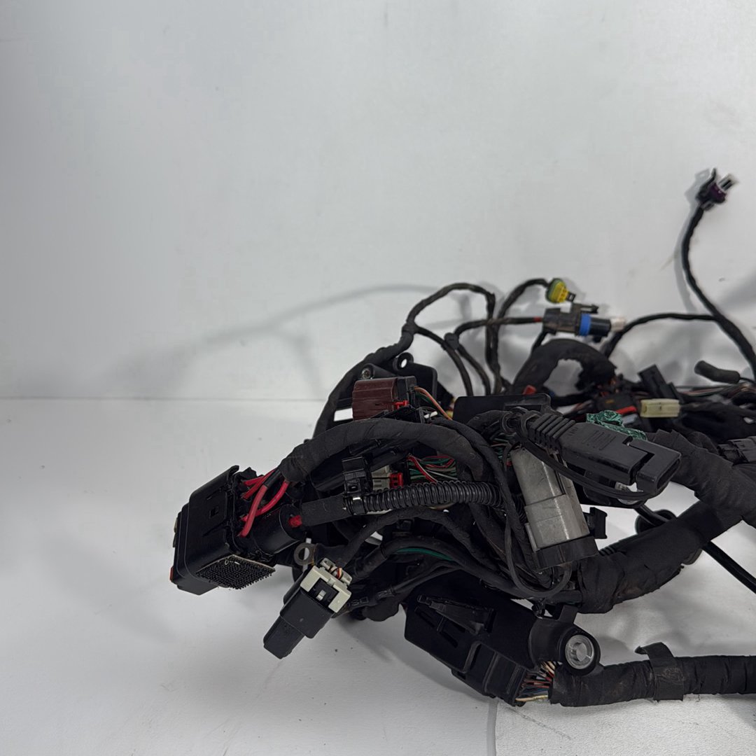 2017 - 2026 Harley-Davidson Softail Heritage Classic 114 Main Wire Wiring Harness Loom ABS 69201492