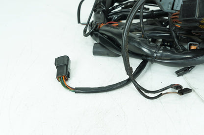 1999 - 2006 Harley-Davidson Touring Electra Glide Ultra Main Wire Wiring Harness Loom 70985-03
