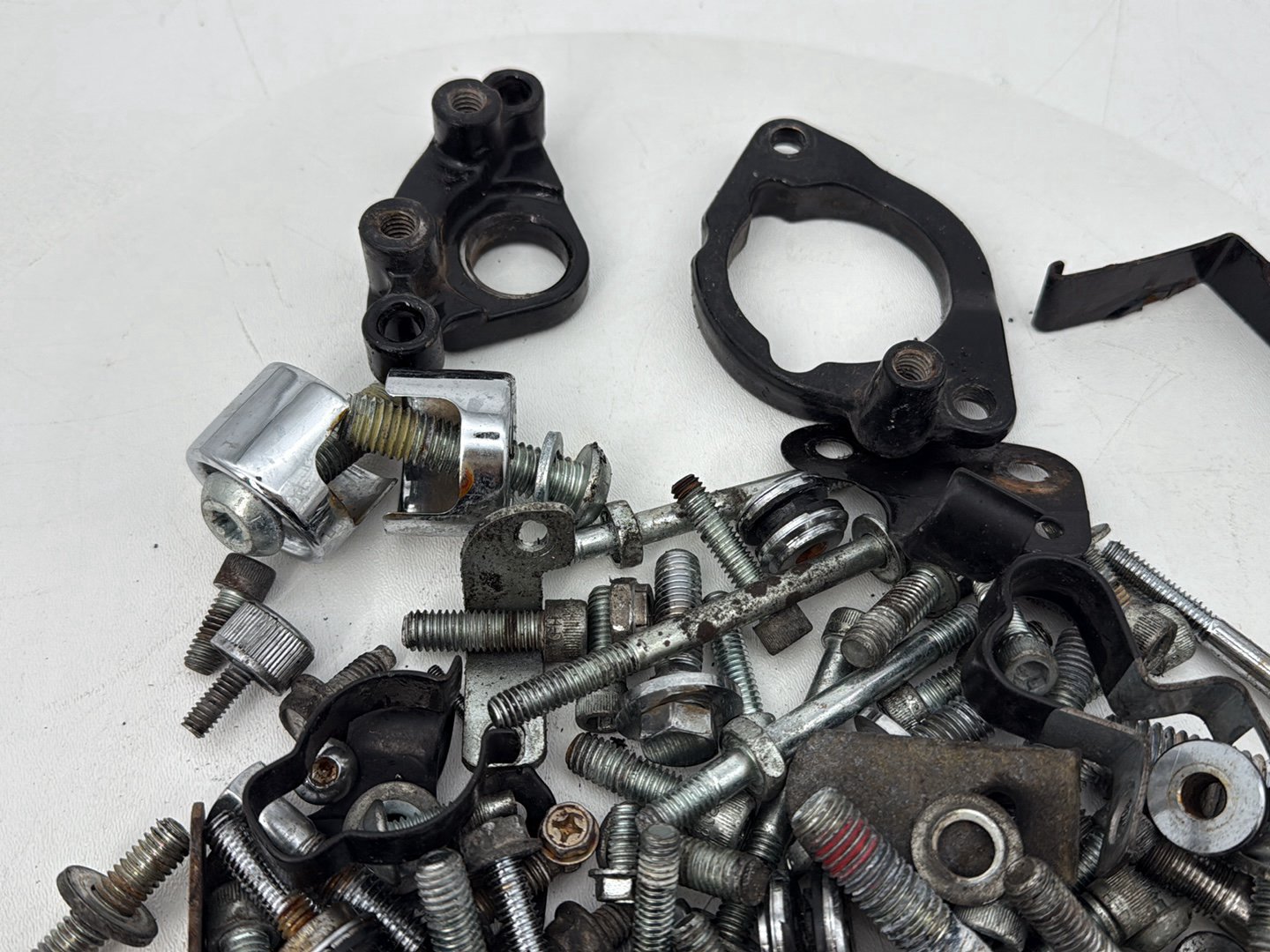 2004 - 2013 Harley-Davidson Sportster 883 Custom Hardware Bolts Nuts & Brackets