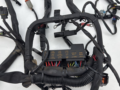 2007 Harley Softail Heritage Classic FLSTC OEM Main Wire Wiring Harness Loom