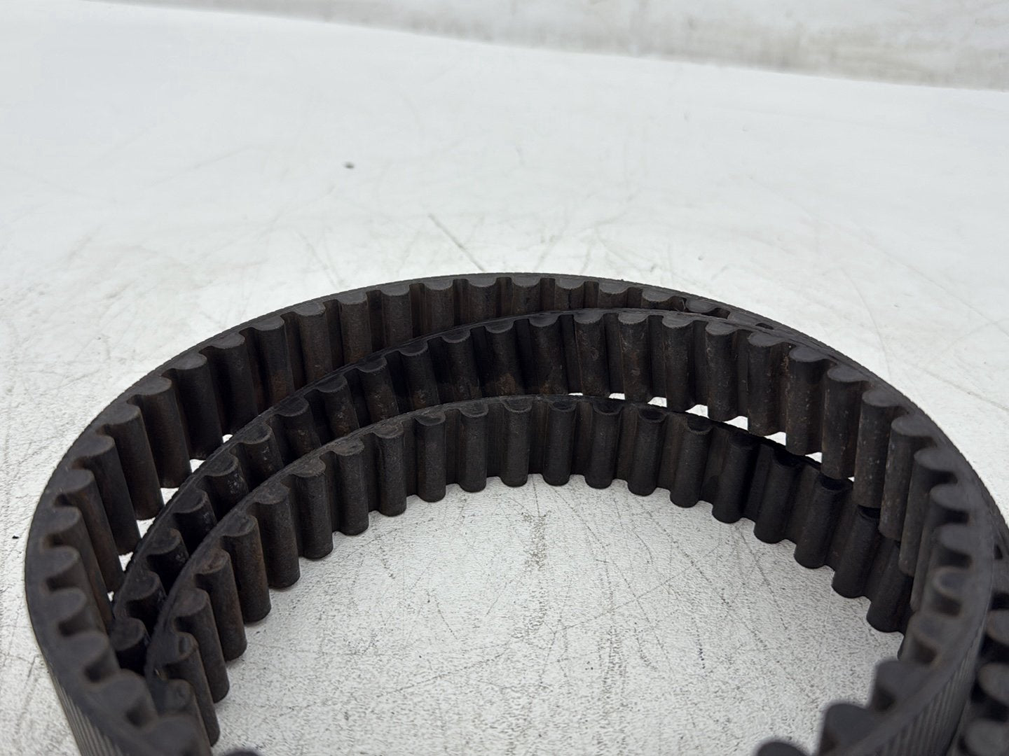 1997 Harley Sportster 1200 Custom XL1200C OEM Rear Drive Belt