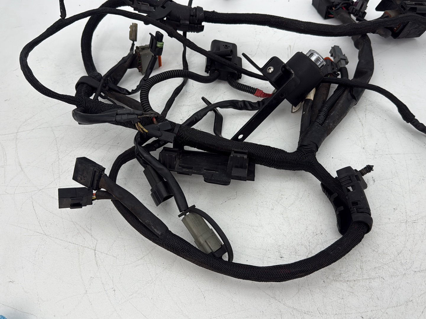 2005 Harley Sportster XL883C 883 Custom OEM Main Wire Wiring Harness Ignition Switch NOKey