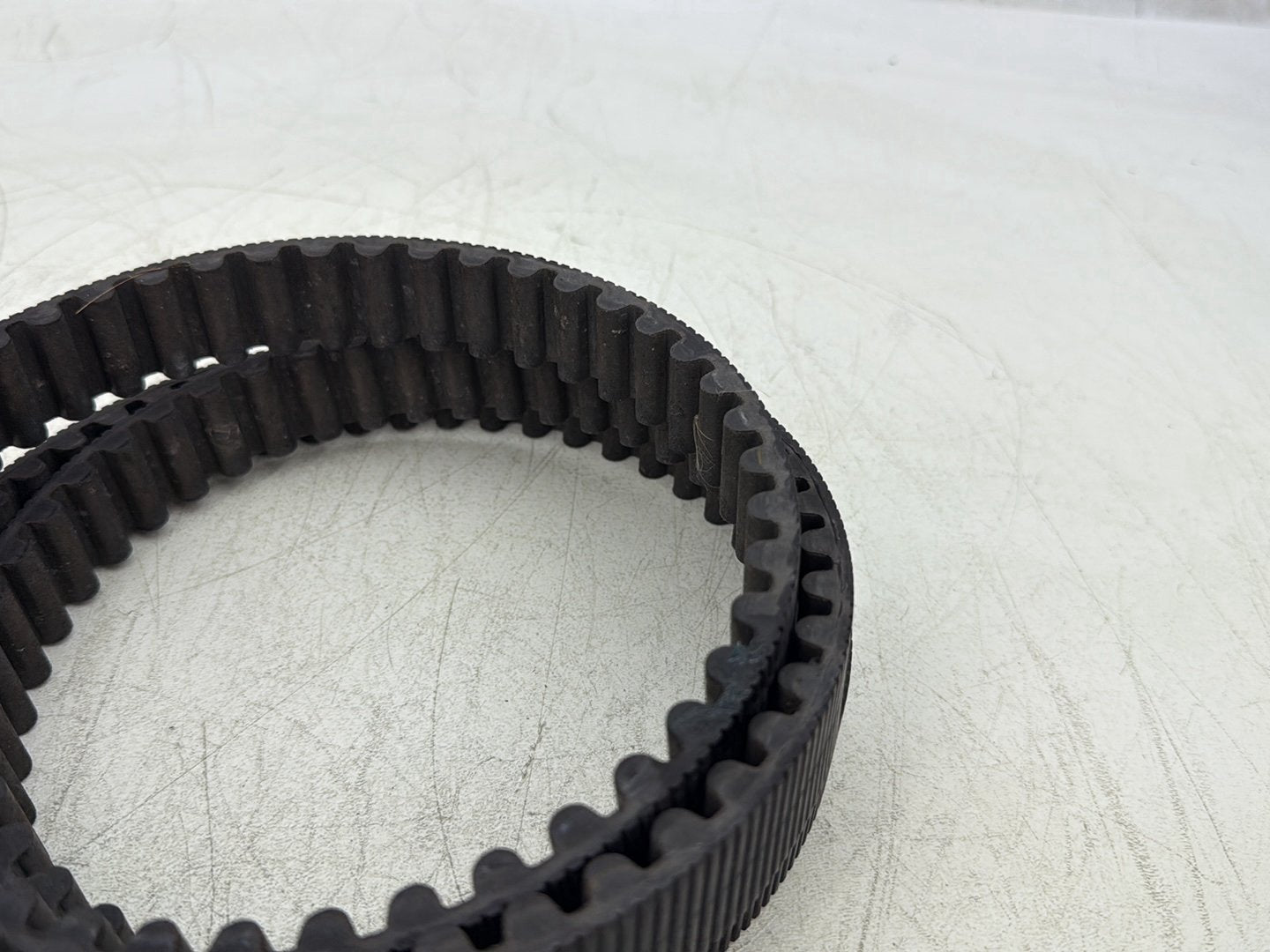 2004 Harley Dyna Super Glide FXDI OEM Rear Drive Belt
