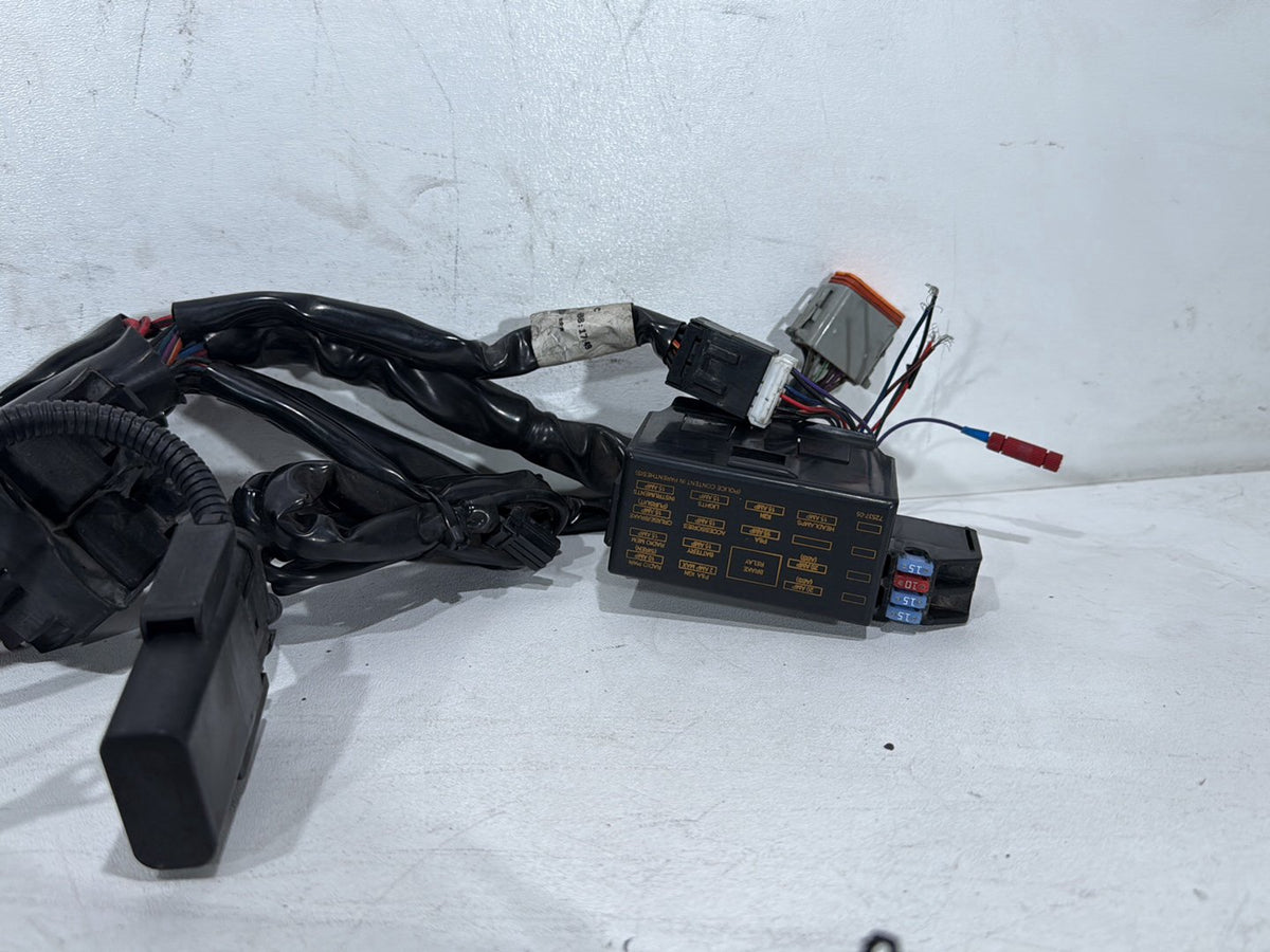 2005 Harley Electra Glide Touring FLHTI OEM Main Wire Wiring Harness Loom