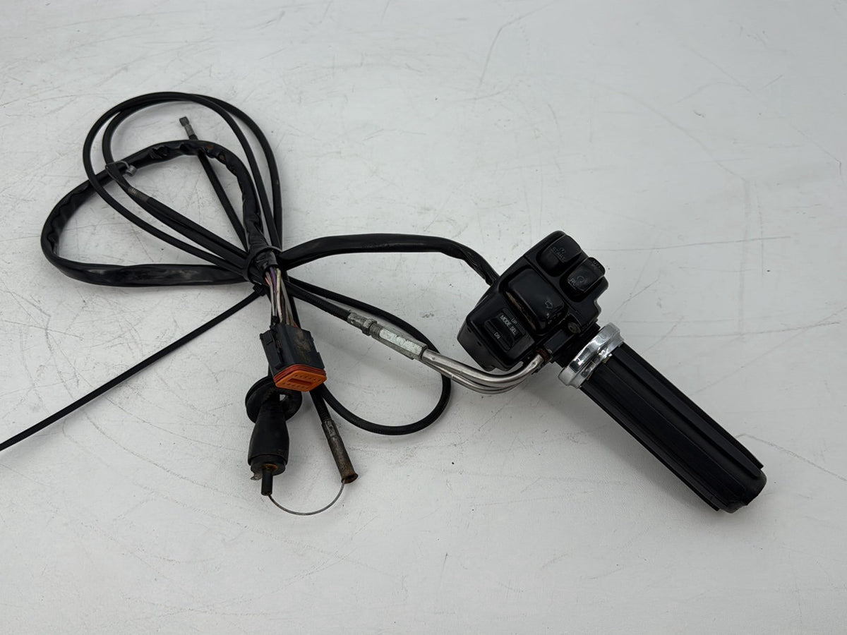 1999 - 2006 Harley-Davidson Touring Electra Glide Classic Right Engine Start Kill Switches Controls 71684-06A