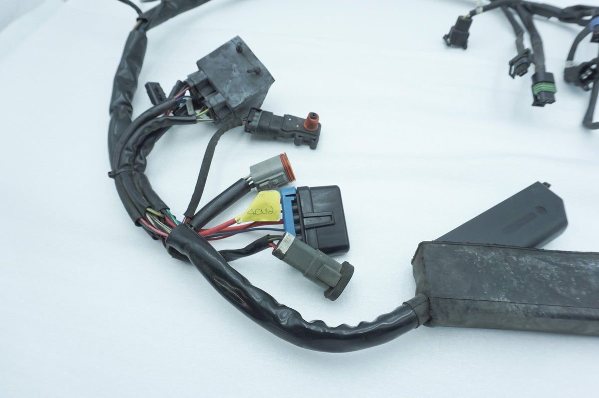 Wire Harness Loom Plug In Connector, 2001, Harley-Davidson, Touring, Electra Ultra, FLHTCUI