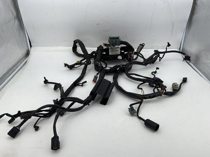 2007 Harley Softail Heritage Classic FLSTC OEM Main Wire Wiring Harness Loom