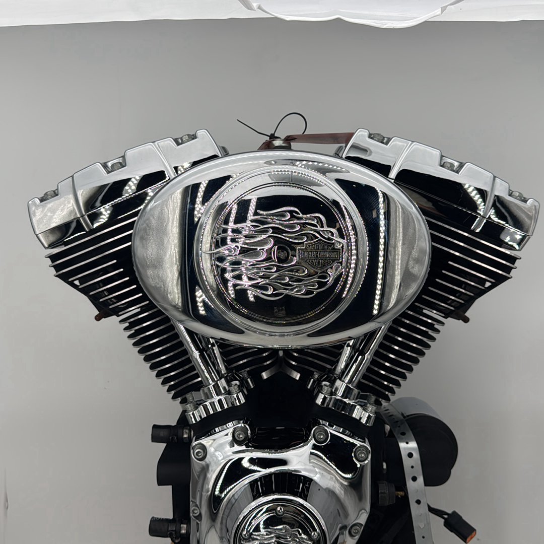 1999 - 2006 Harley-Davidson Dyna Low Rider EFI Twin Cam 88 Engine Motor 19255-05B
