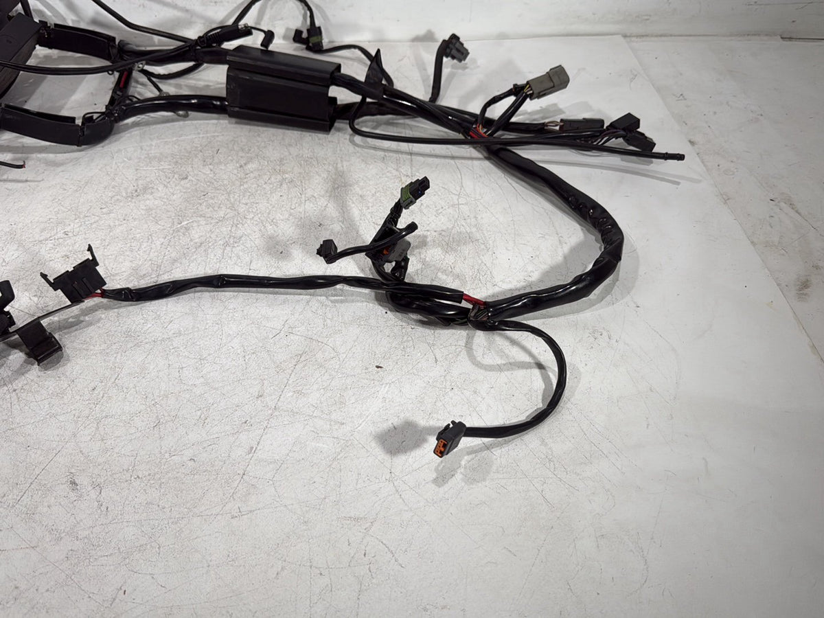2005 Harley Softail Fat Boy FLSTF OEM Main Wire Wiring Harness Loom CARB