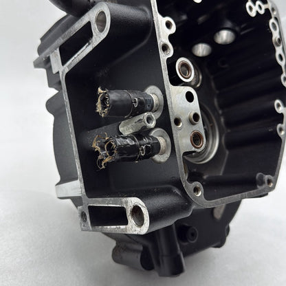 1999 - 2006 Harley-Davidson Touring Electra Glide Classic Crankcase Shaft Engine Motor Cover 24630-03
