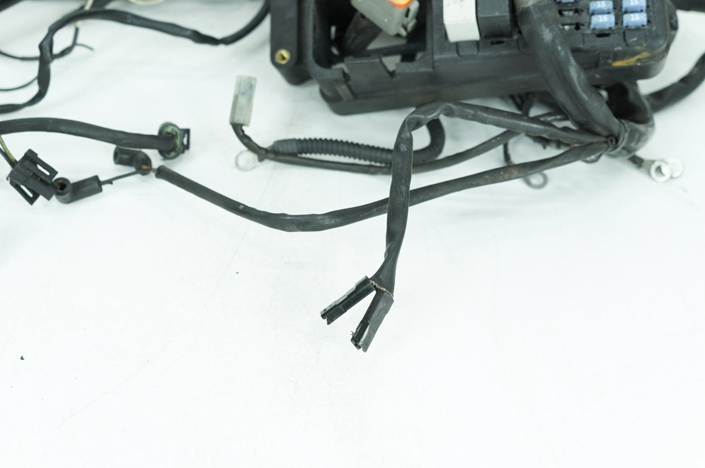 1999 - 2006 Harley-Davidson Dyna Low Rider Main Wire Wiring Harness Loom 69602-04A