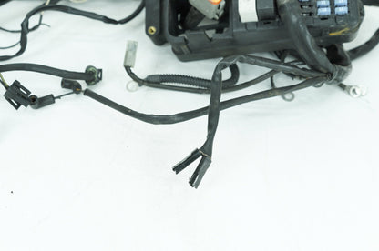 1999 - 2006 Harley-Davidson Dyna Low Rider Main Wire Wiring Harness Loom 69602-04A