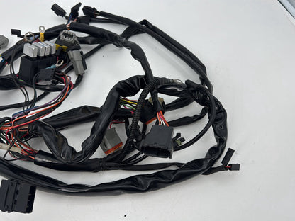 1999 - 2006 Harley-Davidson Dyna Low Rider Main Wire Wiring Harness Loom