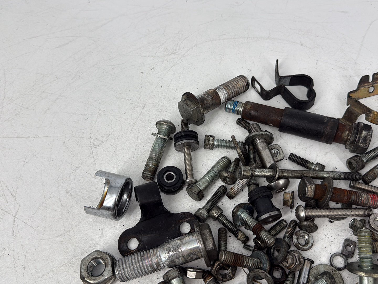 2005 Harley Sportster XL883C 883 Custom OEM Hardware Bolts Nuts & Brackets