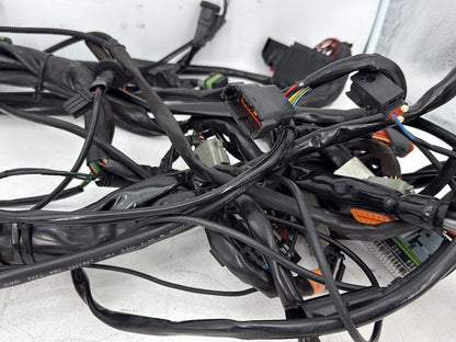 1999 - 2006 Harley-Davidson Touring Electra Glide Ultra Main Wire Wiring Harness Loom 70985-04