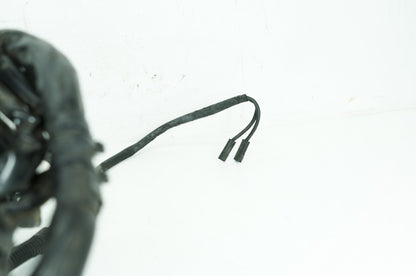 1999 - 2006 Harley-Davidson Touring Electra Glide Main Wire Wiring Harness Loom  	70985-02