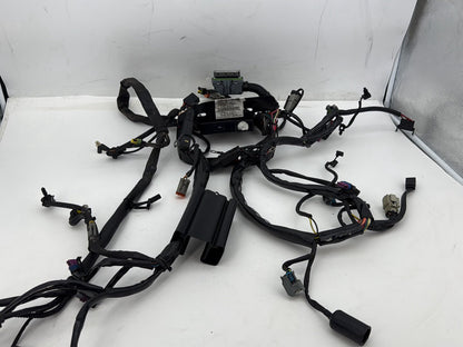 2007 Harley Softail Heritage Classic FLSTC OEM Main Wire Wiring Harness Loom