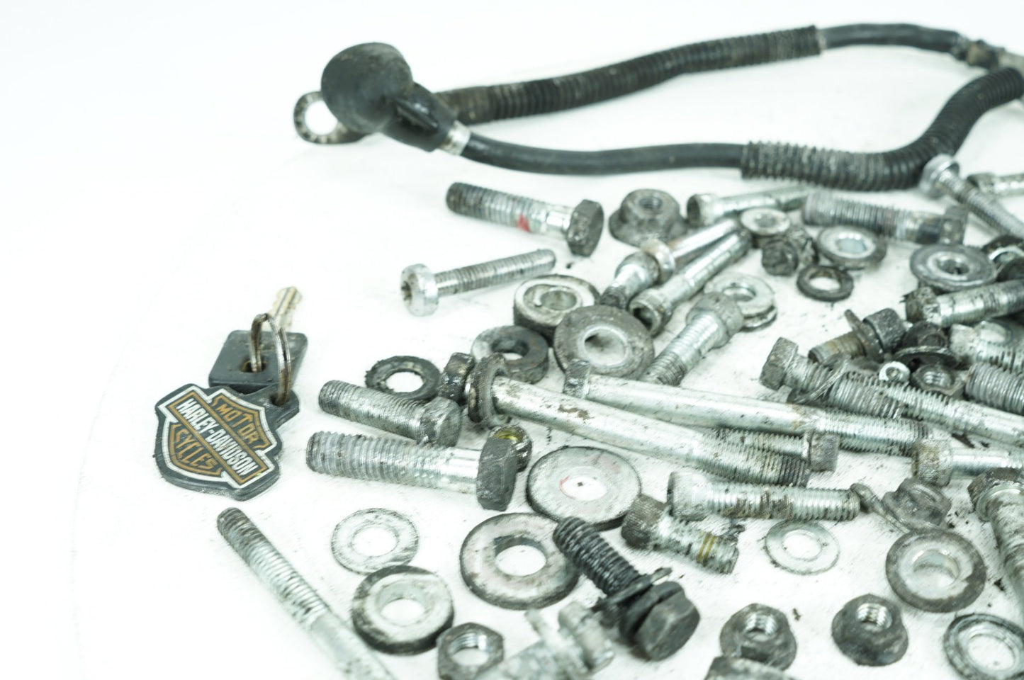 1986 - 2003 Harley-Davidson Sportster 1200 Hardware Bolts Nuts & Brackets