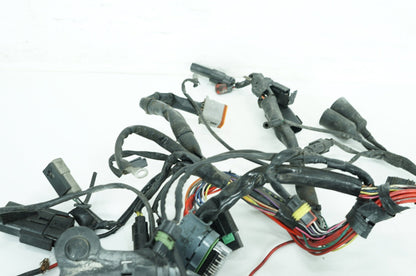 Harley-Davidson Misc  Main Wire Wiring Harness Loom