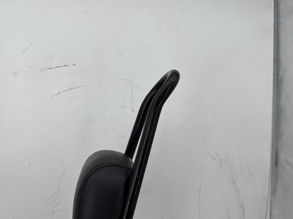 2012 Harley Dyna Fat Bob FXDF 103 OEM Rear Sissy Bar w/ Backrest Cushion Pad