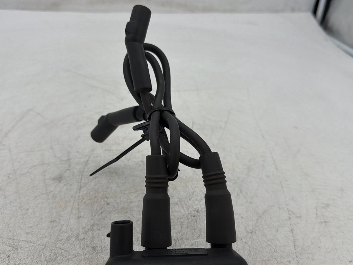 1999 Harley Electra Glide Touring FLHT OEM Ignition Coil Spark Plugs Cable
