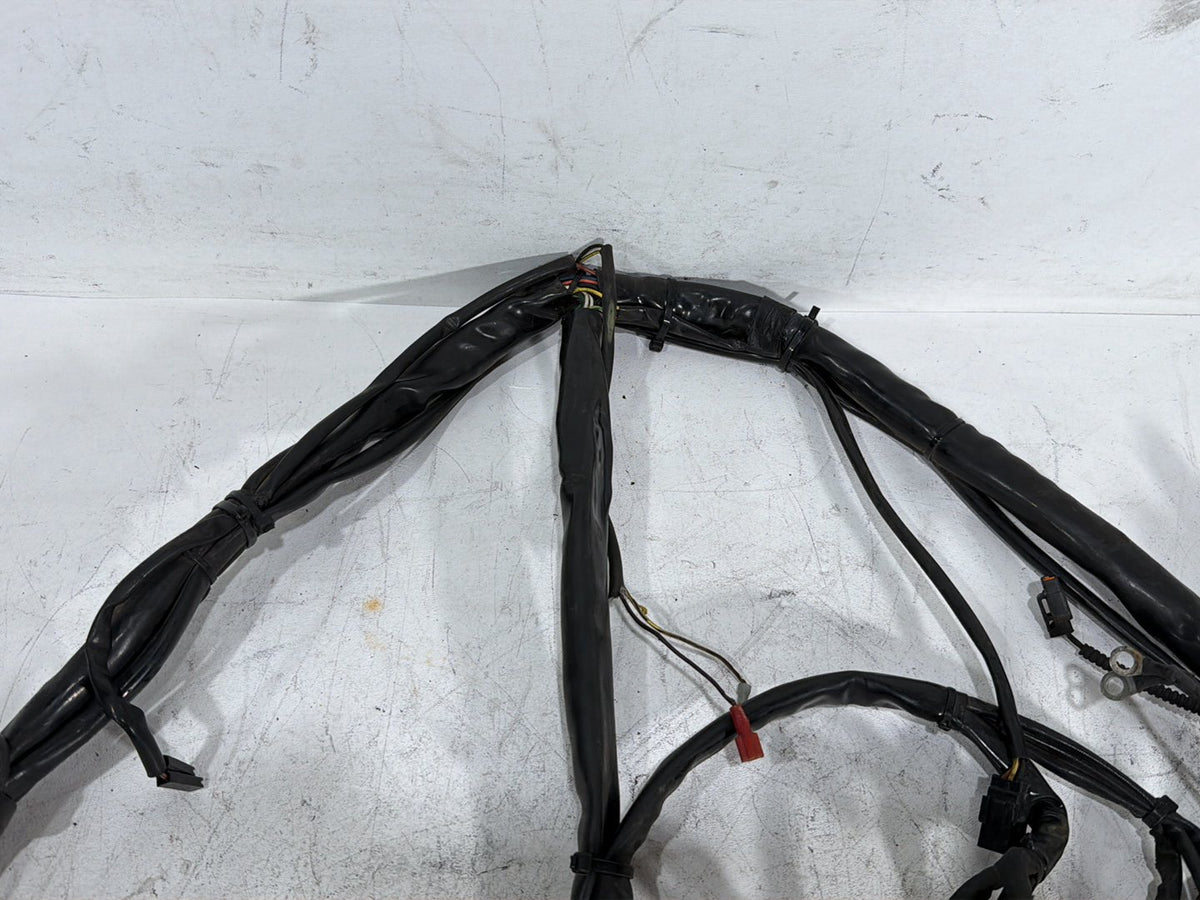 2005 Harley Electra Glide Touring CVO Eagle OEM Main Wire Wiring Harness Loom
