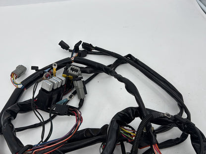 1999 - 2006 Harley-Davidson Dyna Low Rider Main Wire Wiring Harness Loom