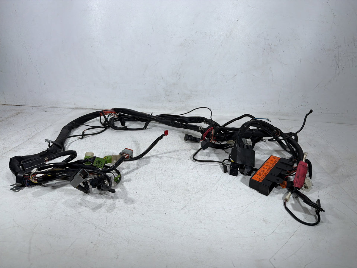 1997 Harley Road King Touring FLHR OEM Main Wire Wiring Harness Loom CARB