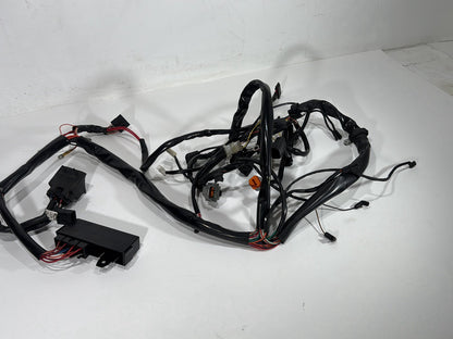 1998 Harley Road King Touring FLHRCI Classic OEM Main Wire Wiring Harness Loom