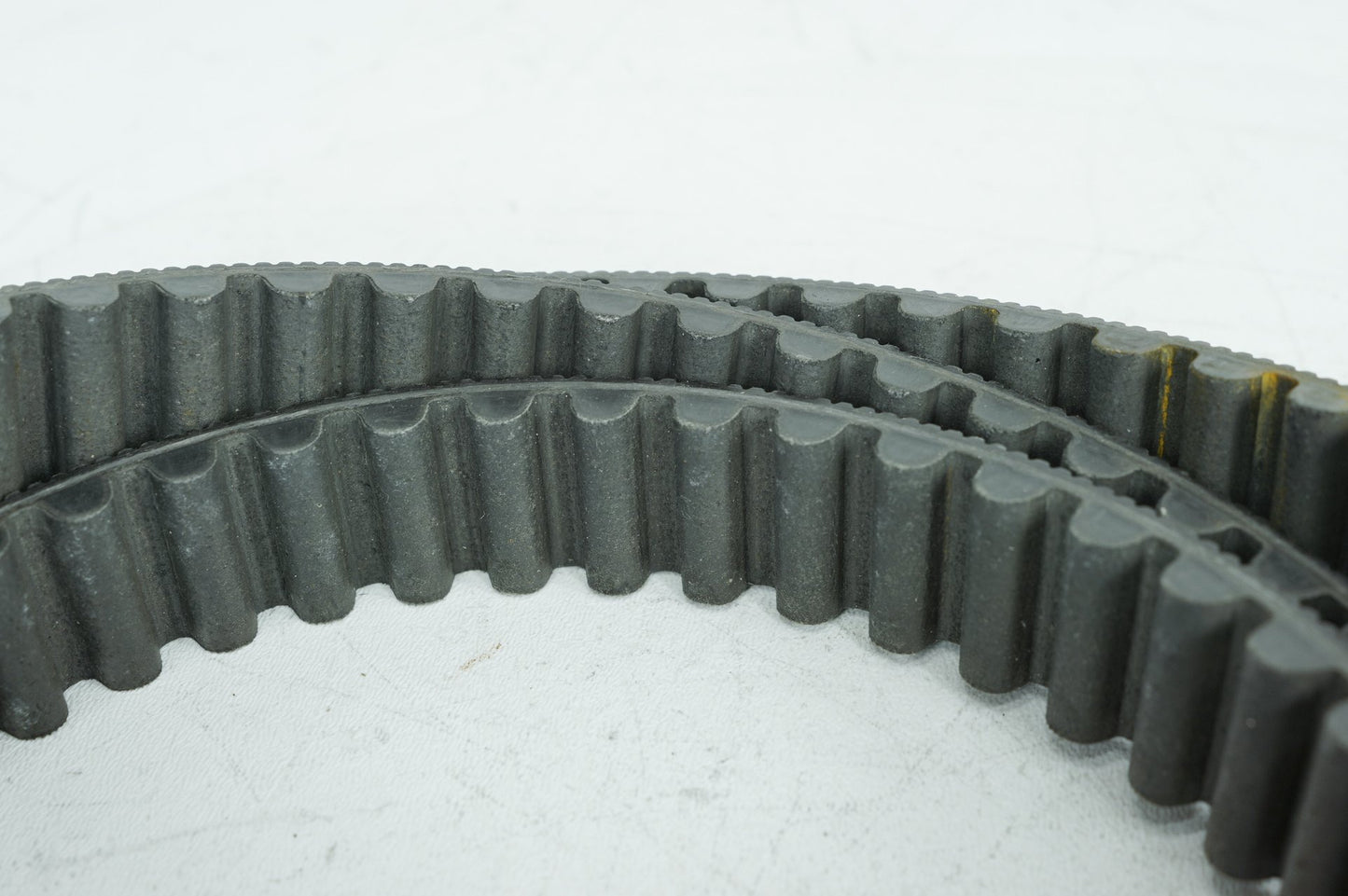 1999 - 2006 Harley-Davidson Touring Street Glide Rear Drive Belt 40024-04