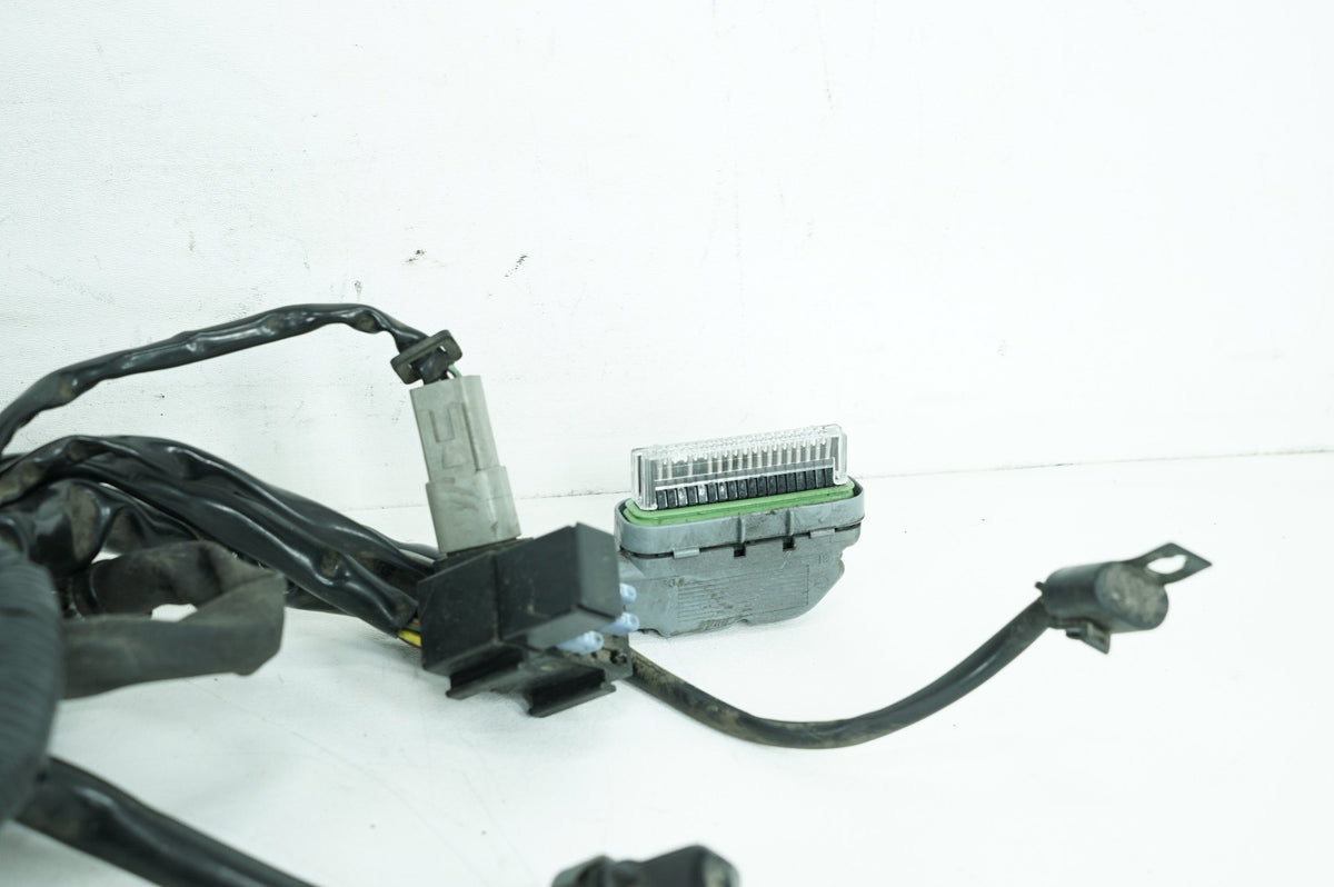 2007 Harley Touring FLHX Street Glide OEM Main Wire Wiring Harness Loom