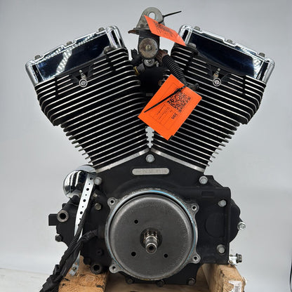 1999 - 2006 Harley-Davidson Softail Deluxe EFI Twin Cam 88 Engine Motor 19259-06