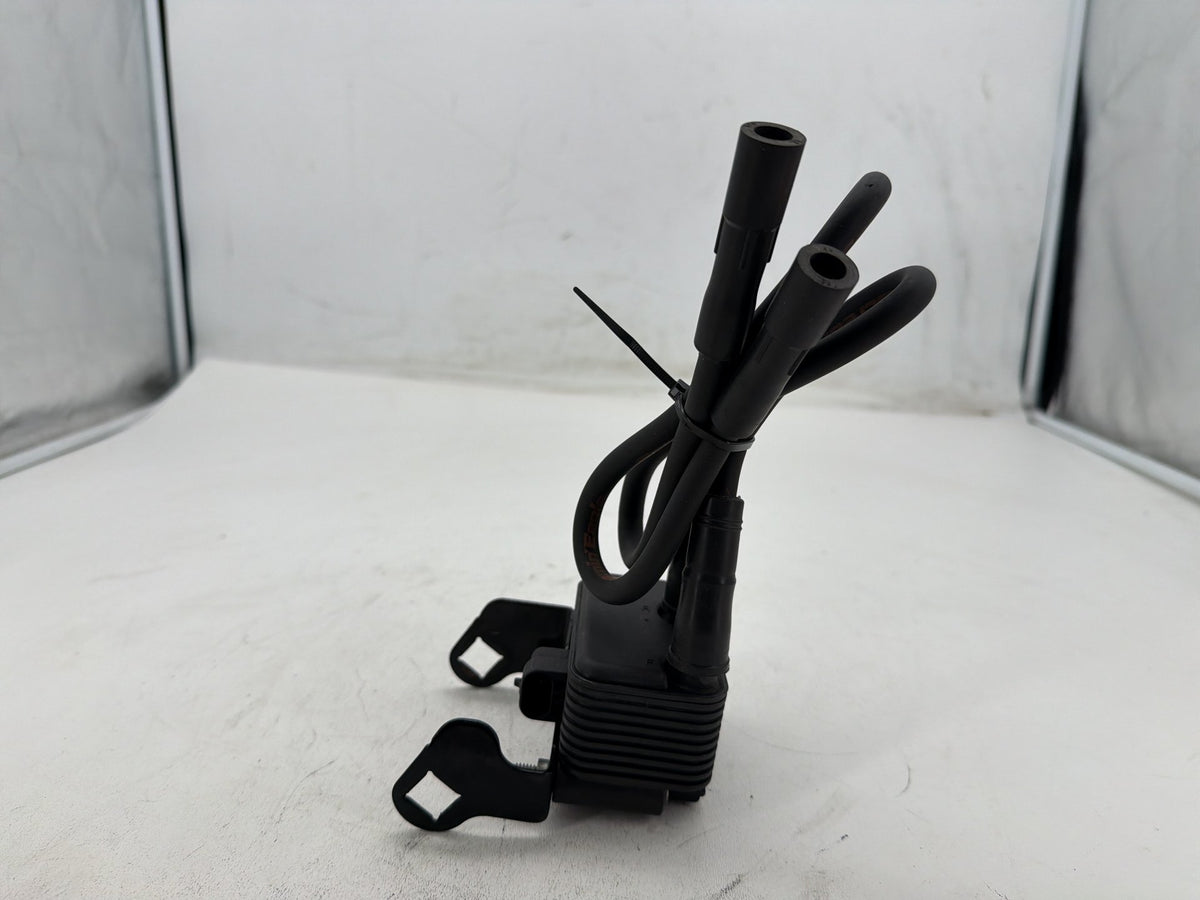 2002 Harley Electra Glide Touring Classic OEM Ignition Coil Spark Plugs Cable