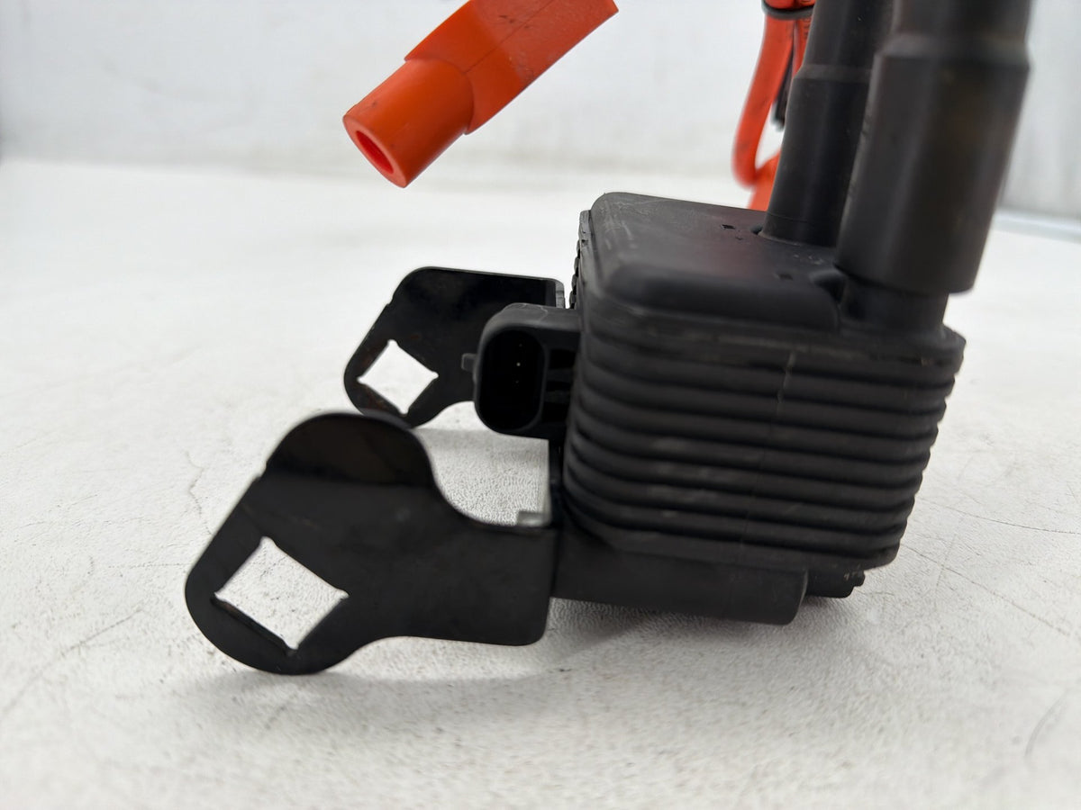 2002 Harley Electra Glide Touring FLHT OEM Ignition Coil Spark Plugs Cable