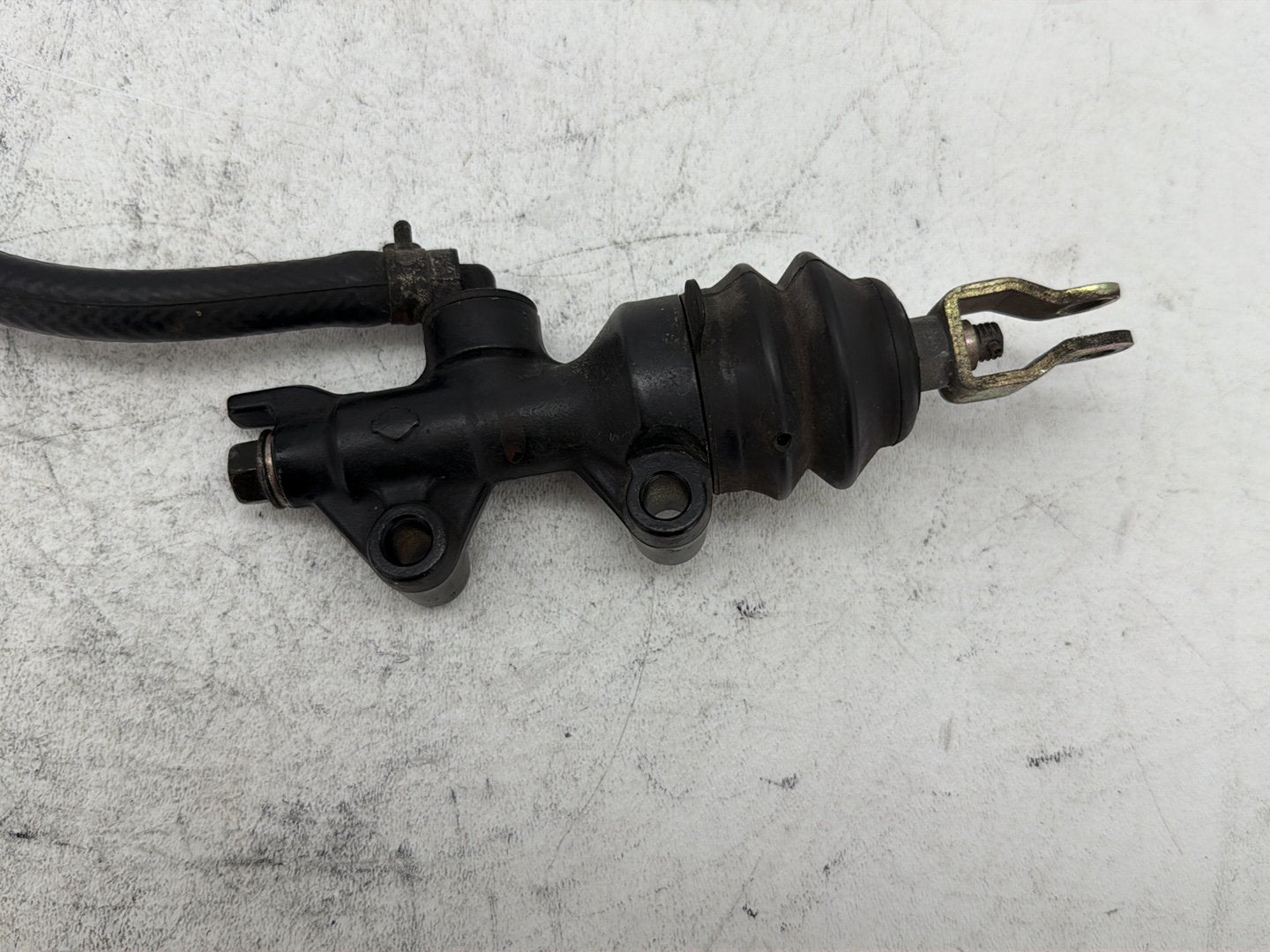 2006 Harley Sportster 1200 Custom XL1200C OEM Rear Brake Line Master Cylinder Reservoir Tank