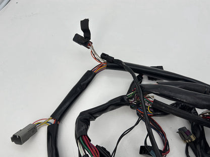 1999 - 2006 Harley-Davidson Dyna Low Rider Main Wire Wiring Harness Loom