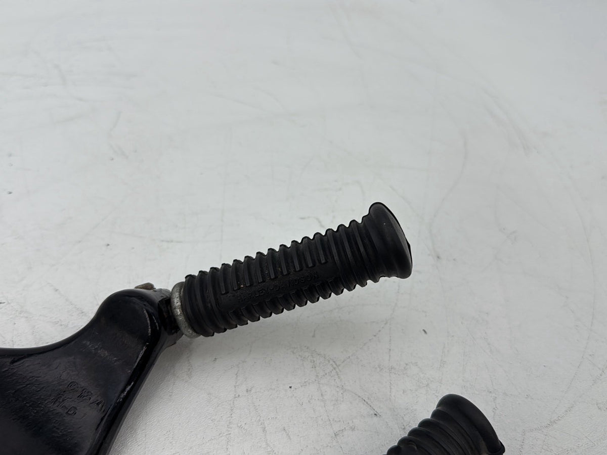 2004 - 2013 Harley-Davidson Sportster 1200 Custom Passenger Left & Right Foot Pegs 49314-04
