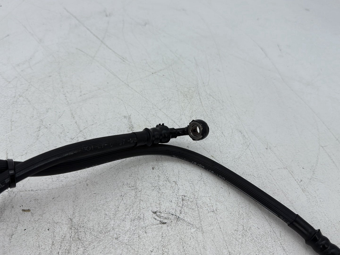 1998 Harley Softail Custom FXSTC OEM Rear Brake Hose Line Pipe