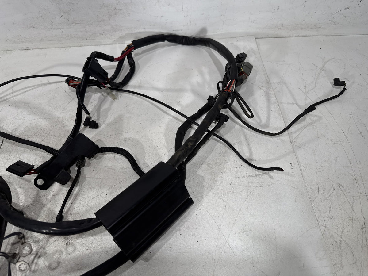 01 Harley Heritage Softail Classic FLSTC OEM Main Wire Wiring Harness Loom CARB