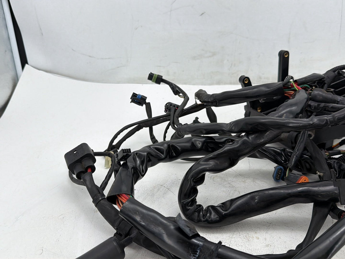 2005 Harley Dyna Wide Glide FXDWG OEM Main Wire Wiring Harness Loom