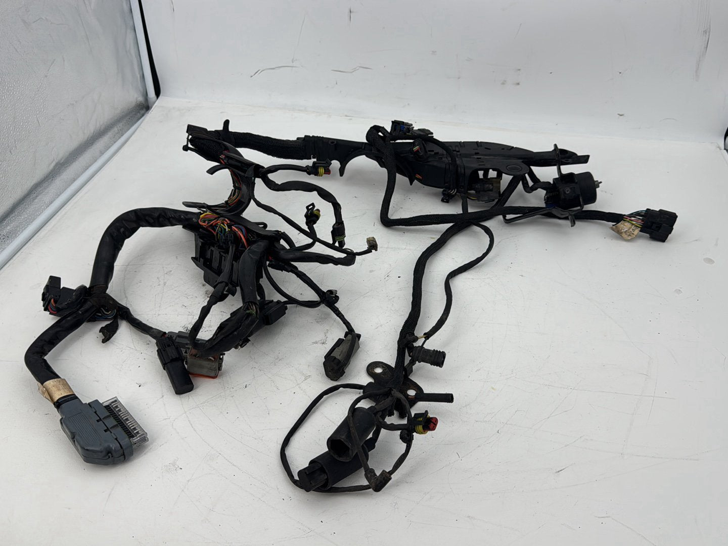 2009 Harley Sportster XL1200 1200 Main Wire Wiring Harness Ignition Switch NOKey