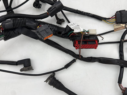 1999 - 2006 Harley-Davidson Touring Electra Glide Ultra Main Wire Wiring Harness Loom 71000-06