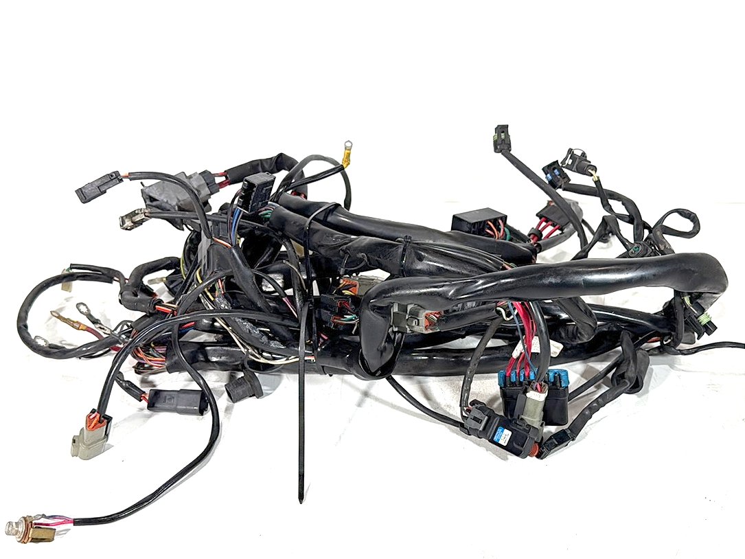 1999 - 2006 Harley-Davidson Touring Road King Police Main Wire Wiring Harness Loom 70985-01