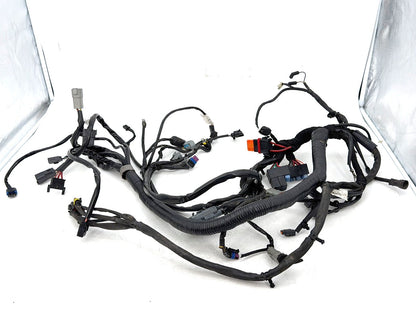 2006 - 2017 Harley-Davidson Dyna Street Bob Main Wire Wiring Harness Loom 69602-06