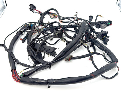 1999 - 2006 Harley-Davidson Touring Electra Glide Classic Main Wire Wiring Harness Loom 70985-01