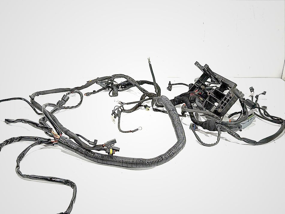 2007 Harley Dyna Street Bob FXDBI OEM Main Wire Wiring Harness Loom