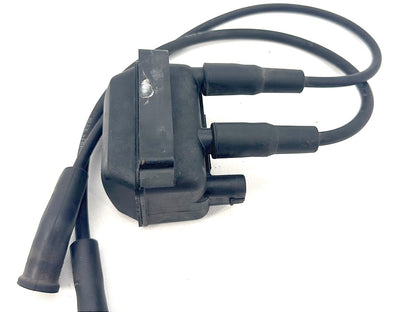 1999 - 2006 Harley-Davidson Touring Electra Glide Classic Ignition Coil Spark Plugs Cable 31639-99