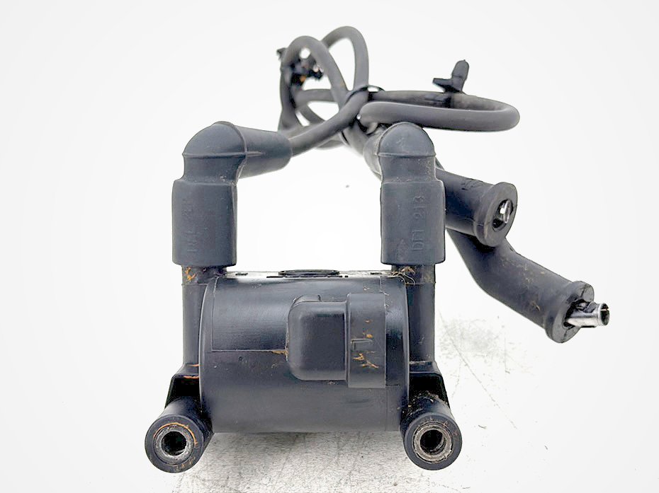 2015 Harley Road Glide Touring FLTRXS OEM Ignition Coil Spark Plugs Cable